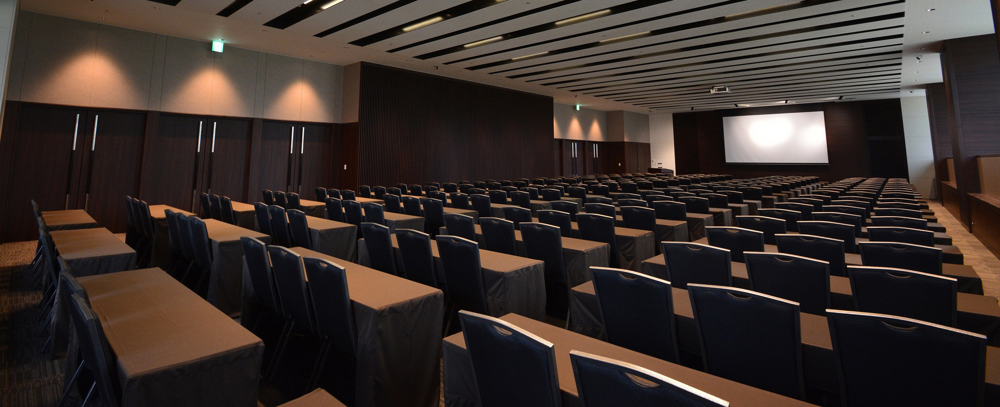 �Ⴊ���ҍ̗p